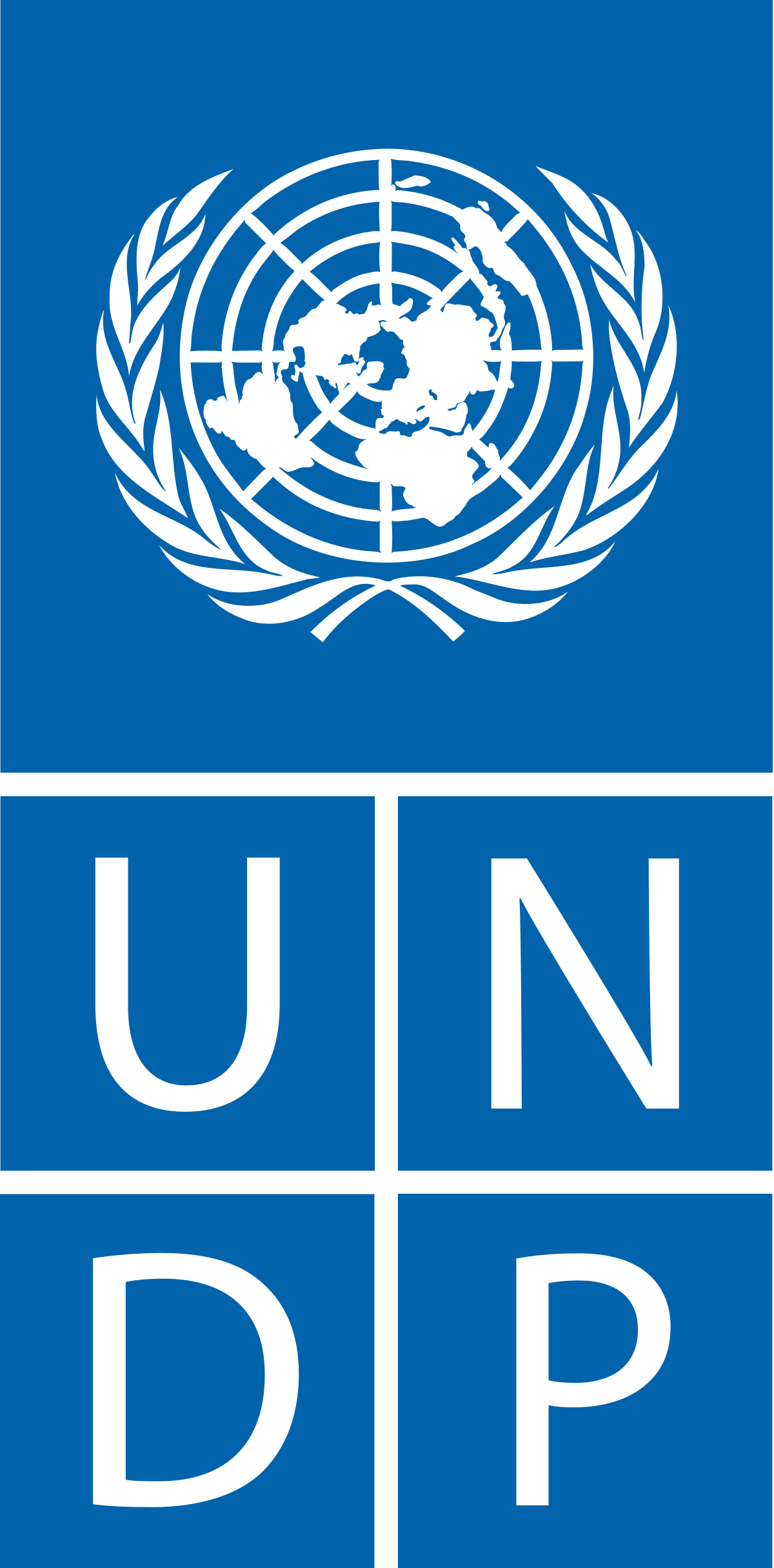 Go to UNDP website